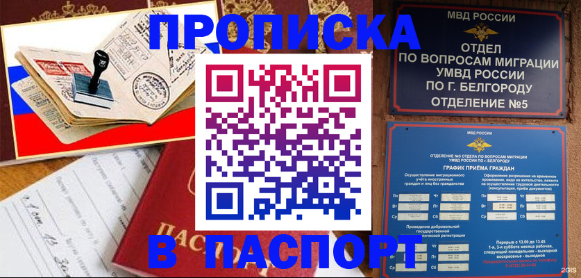 временная регистрация для всех в Павлово